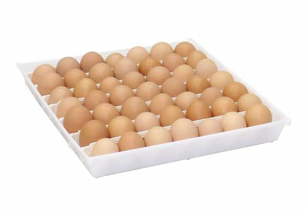 تصویر 5 از خرید و قیمت شانه تخم مرغ دستگاه جوجه کشی + فروش عمده